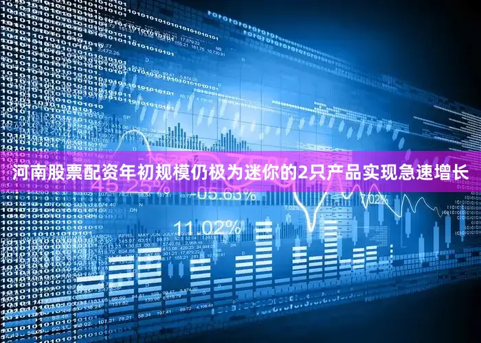 河南股票配资年初规模仍极为迷你的2只产品实现急速增长