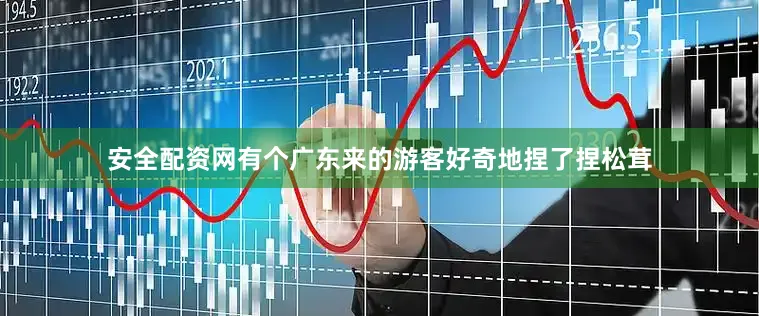 安全配资网有个广东来的游客好奇地捏了捏松茸