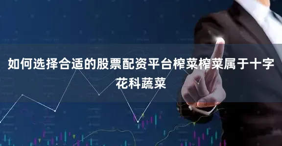 如何选择合适的股票配资平台榨菜榨菜属于十字花科蔬菜