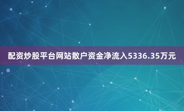 配资炒股平台网站散户资金净流入5336.35万元