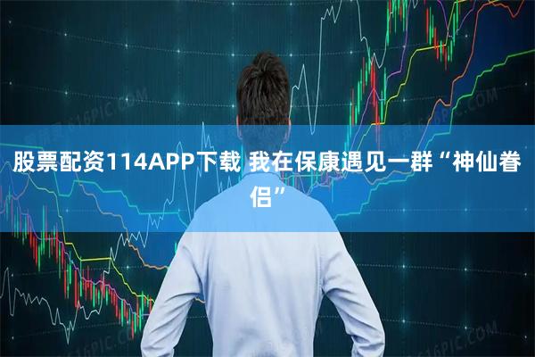 股票配资114APP下载 我在保康遇见一群“神仙眷侣”