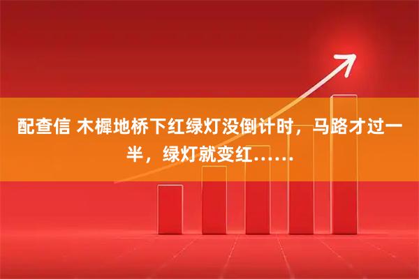 配查信 木樨地桥下红绿灯没倒计时，马路才过一半，绿灯就变红……